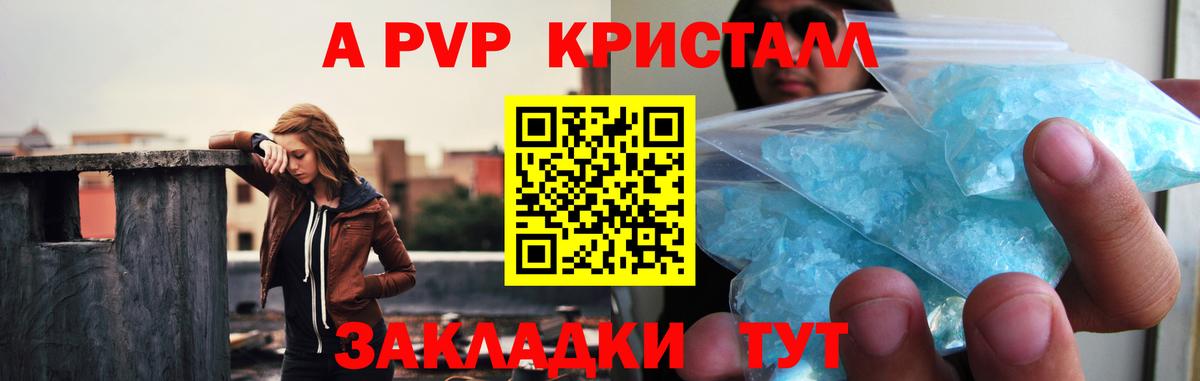 Альфа ПВП СК Магадан