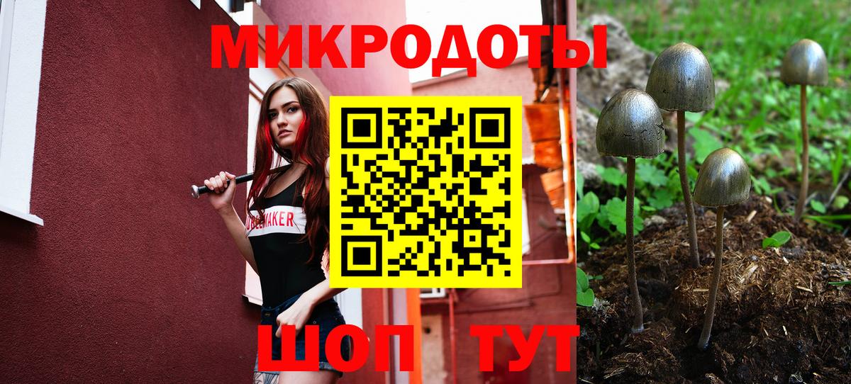 Галлюциногенные грибы Cubensis  сколько стоит  Магадан  Галлюциногенные грибы ЛСД  Вход с VPN 