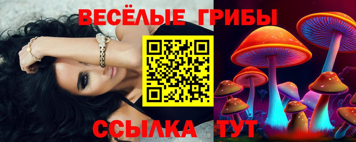 Галлюциногенные грибы GOLDEN TEACHER Магадан